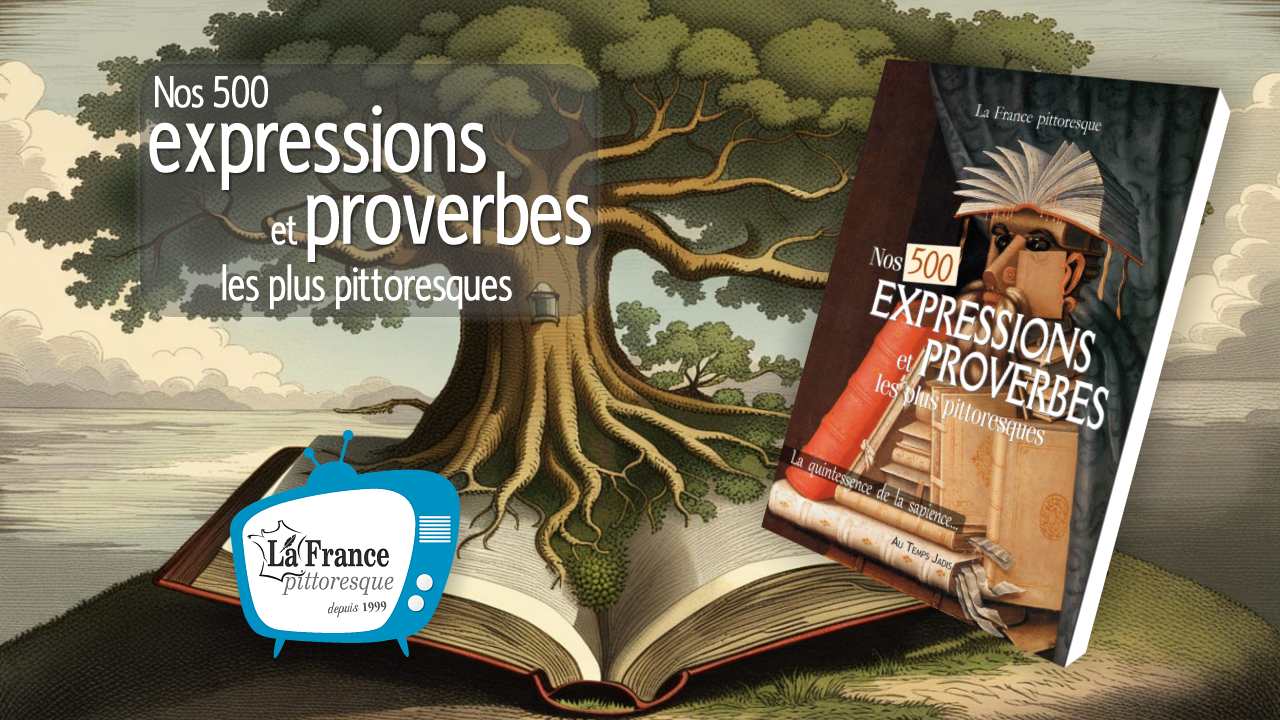 Livre : Dictionnaire De Nos 500 Expressions Et Proverbes Les Plus ...